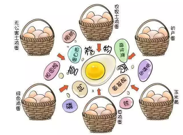 遍尋菜譜收集的雞蛋7中新吃法，第2中最好，第7中最營養(yǎng)